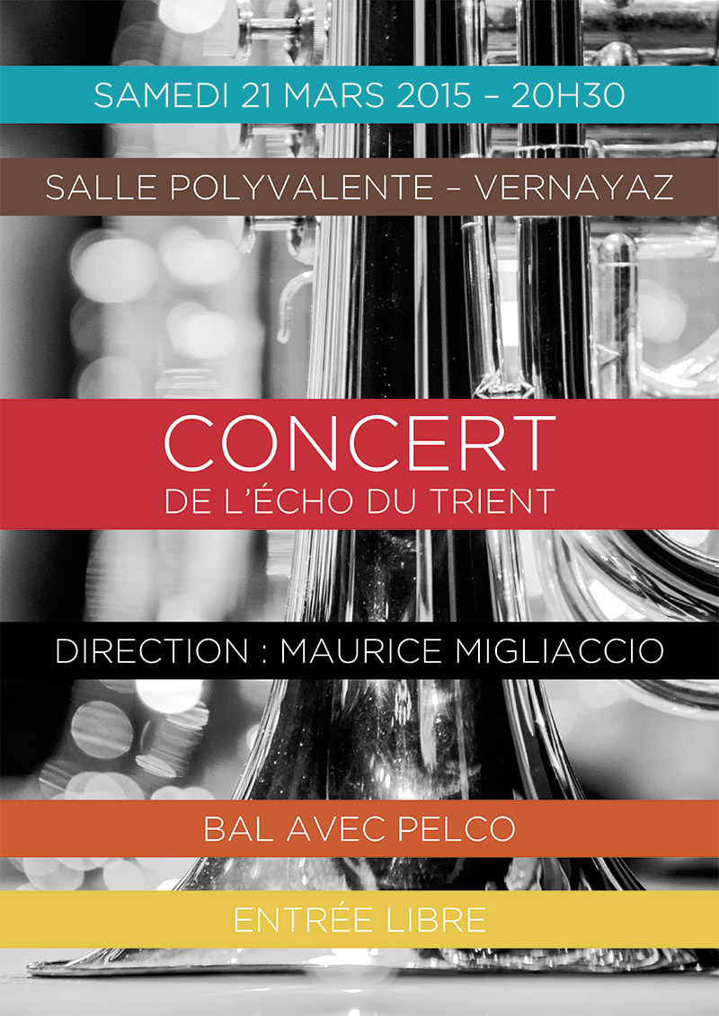 Affiche concert 2015