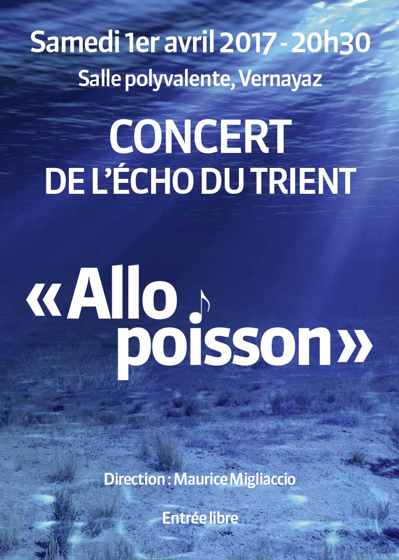 Affiche concert 2017